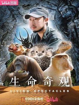 一区二区免费在线视频