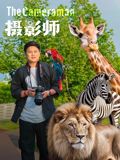 巡回检察组1-43集剧情介绍
