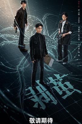欧美插视频