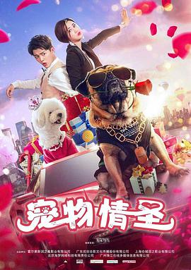 完美伴侣电视剧37集免费观看