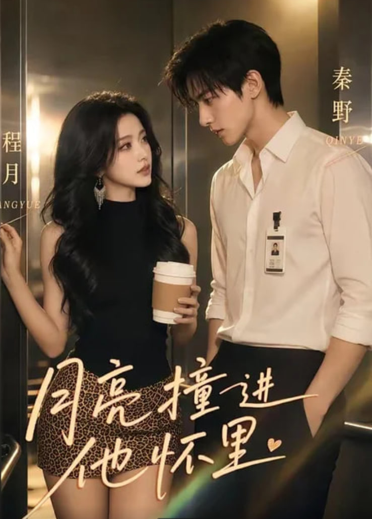 爱情跷跷板dvd