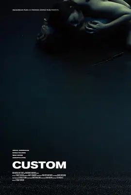 监狱高压啄木鸟英文