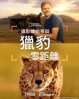 欧美激情完整视频免费看