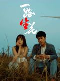 流泪的新娘电视剧